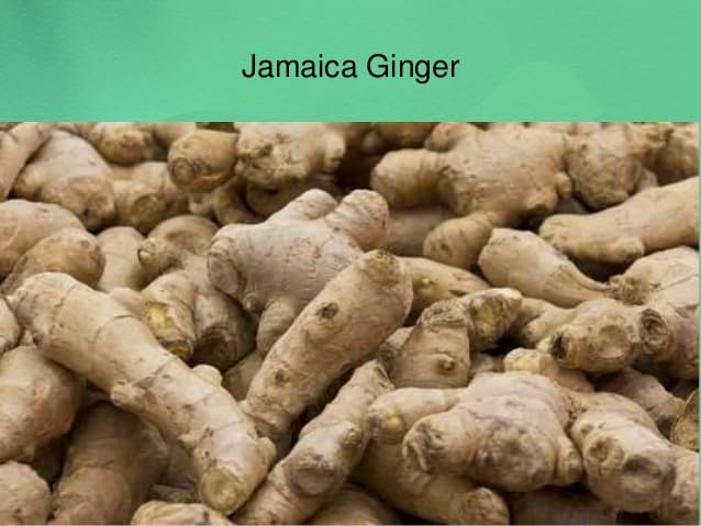 Amazon.com: Fresh Jamaican Ginger Root – Premium, Natural, and